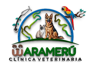 Clínica Veterinaria Warameru
